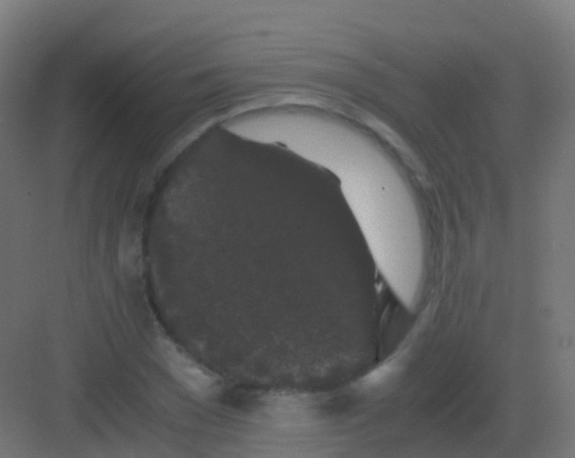 X0000081330977200702082158