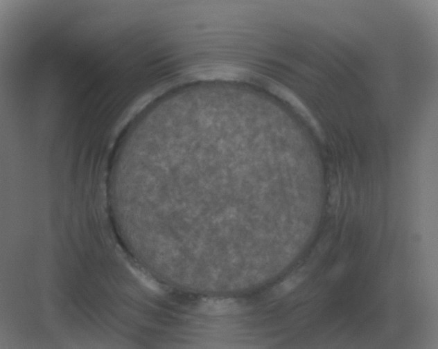 X0000081330978200702082158