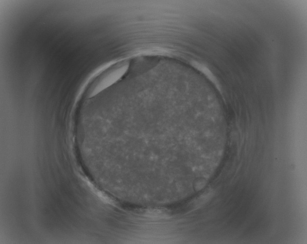 X0000081330979200702082158