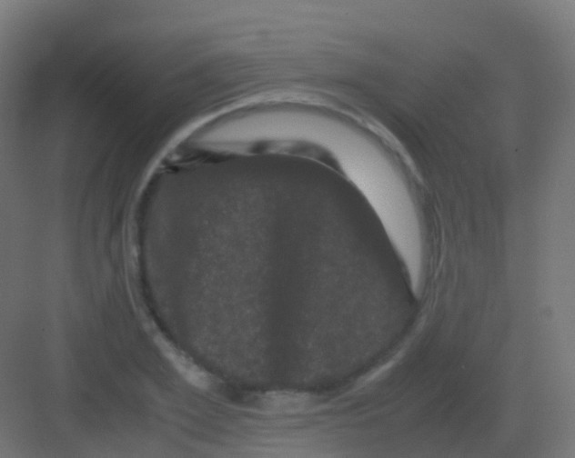 X0000081330981200702082158