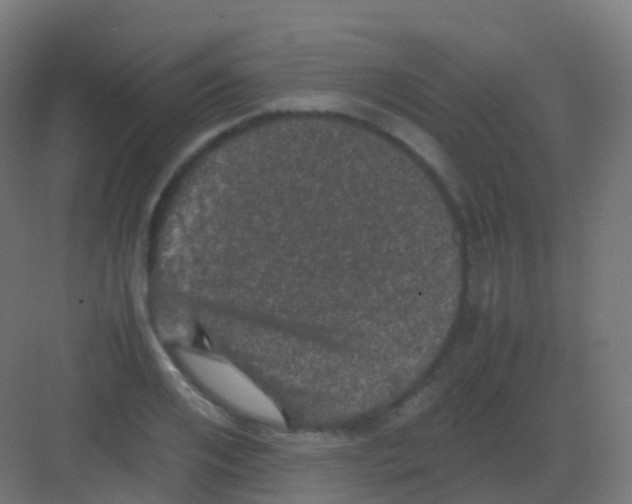 X0000081330984200702082157