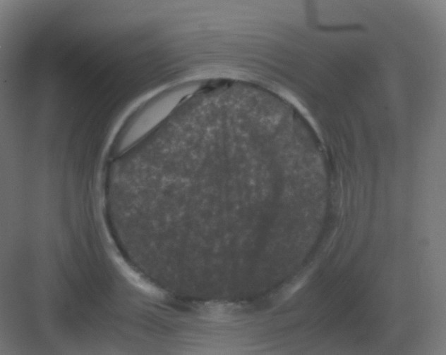 X0000081330987200702082157