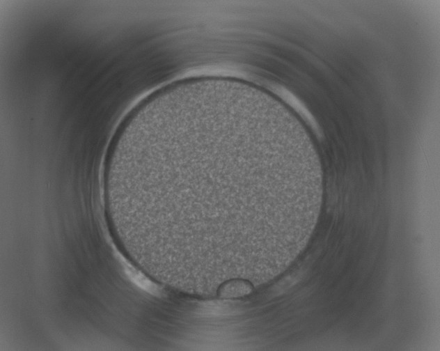 X0000081330988200702082157