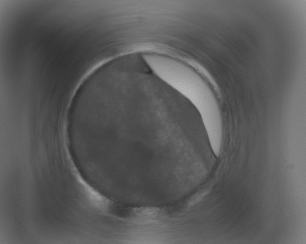 X0000081330991200702082157