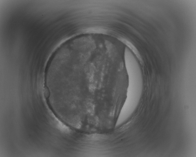 X0000081330992200702082157