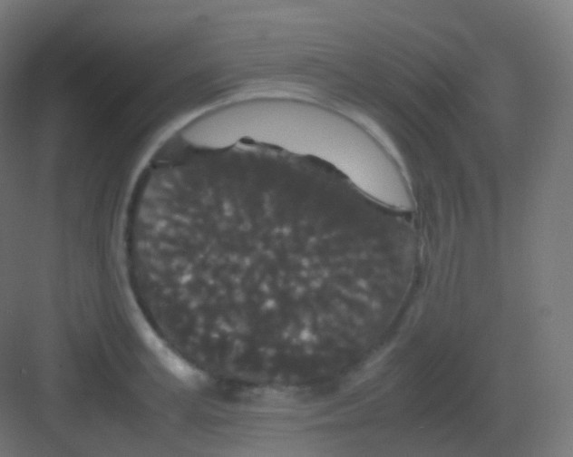 X0000081330995200702082157