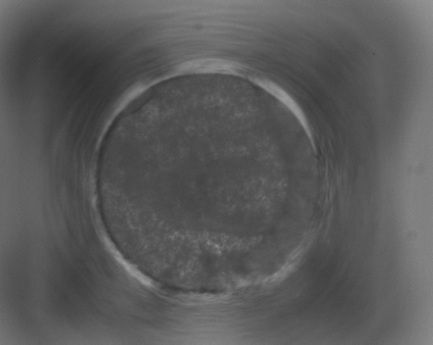 X0000081330997200702082157