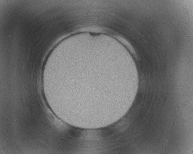 X0000081331000200702082157