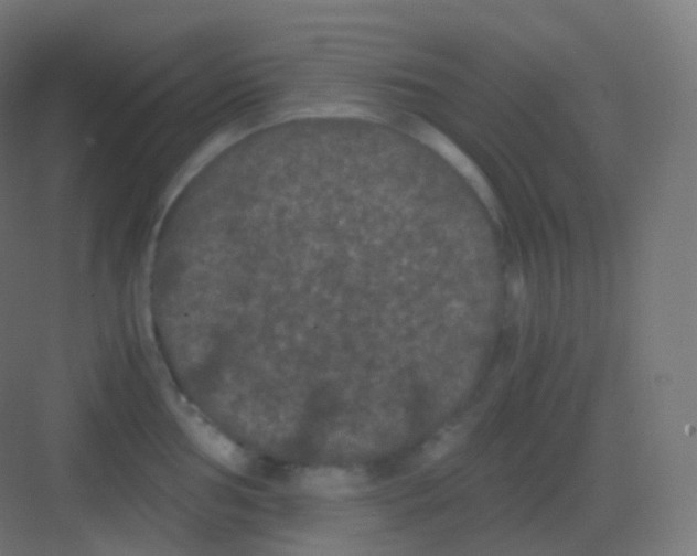 X0000081331002200702082157