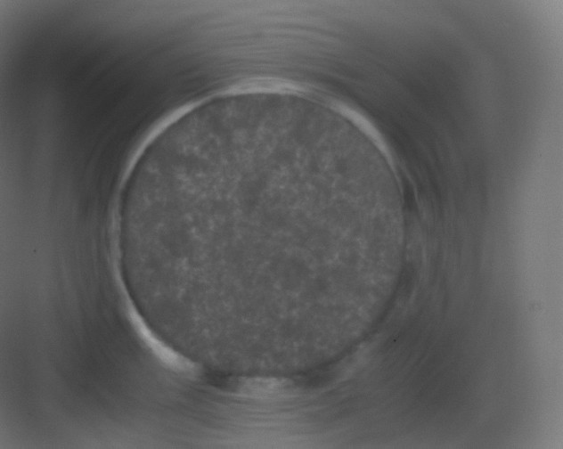 X0000081331003200702082157