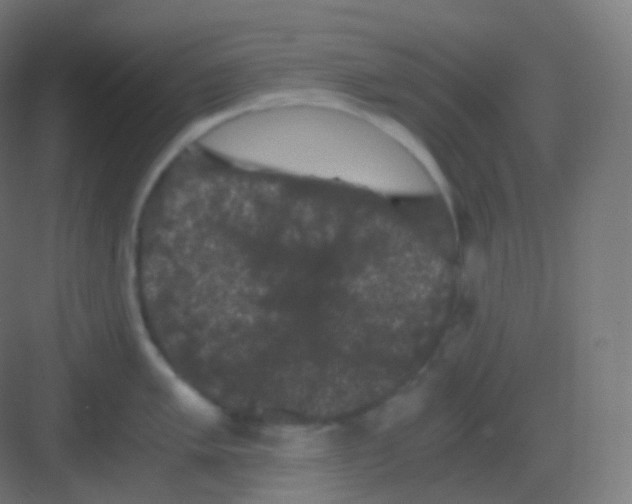 X0000081331005200702082157