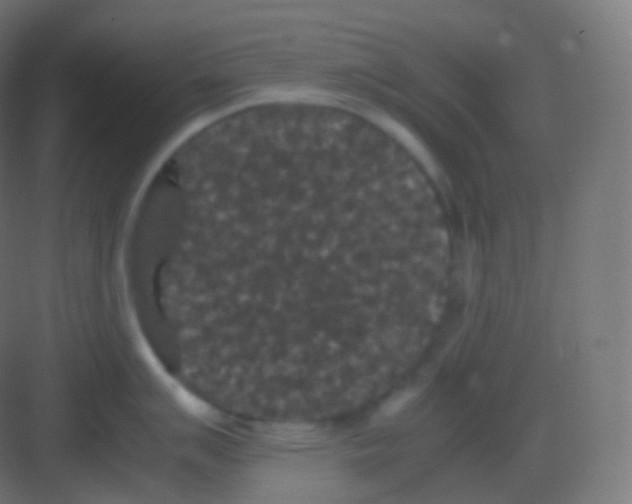 X0000081331007200702082157