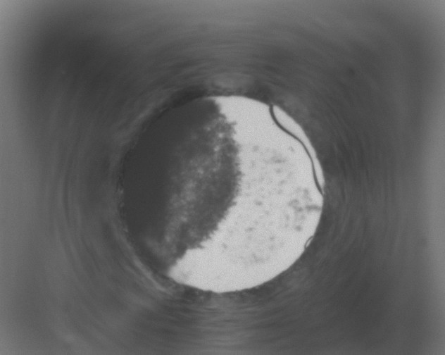 X0000081331009200702082156