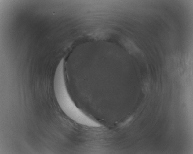 X0000081331010200702082156