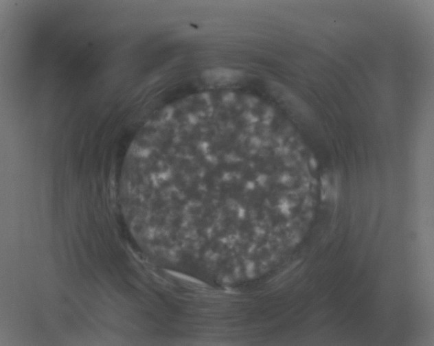 X0000081331011200702082156