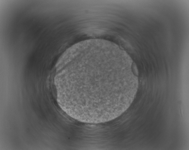 X0000081331012200702082156