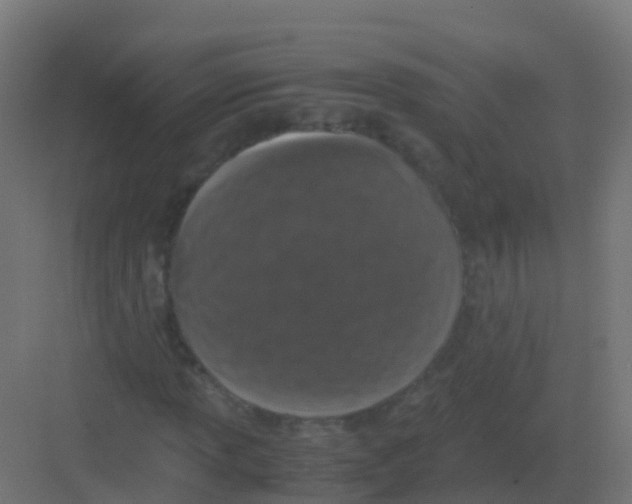 X0000081331013200702082156