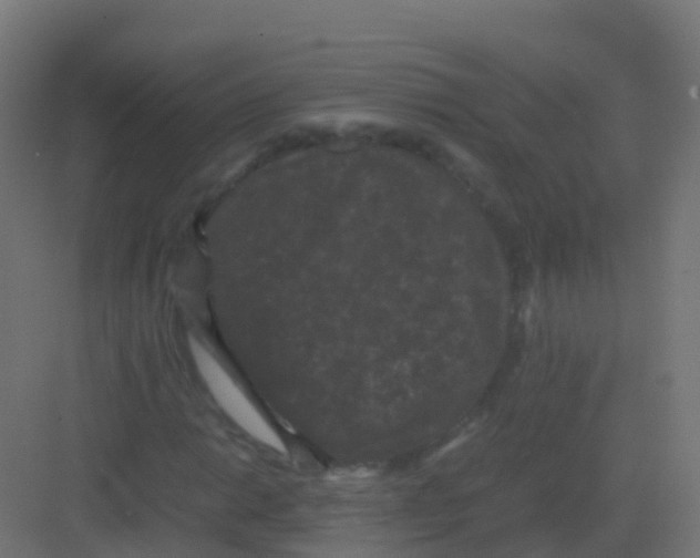 X0000081331014200702082156