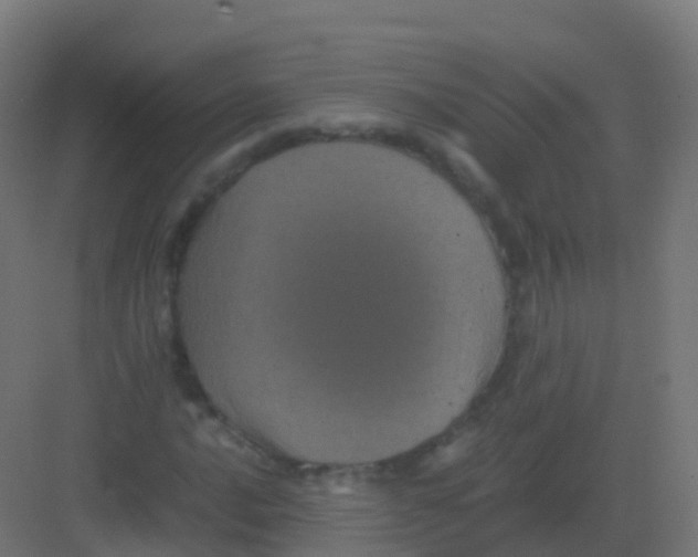 X0000081331016200702082156