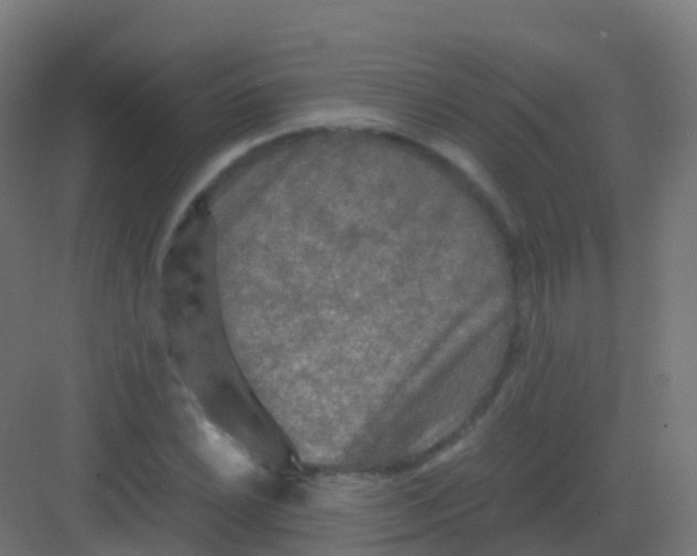 X0000081331022200702082156