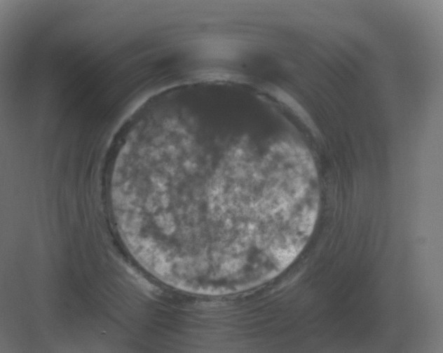 X0000081331023200702082157