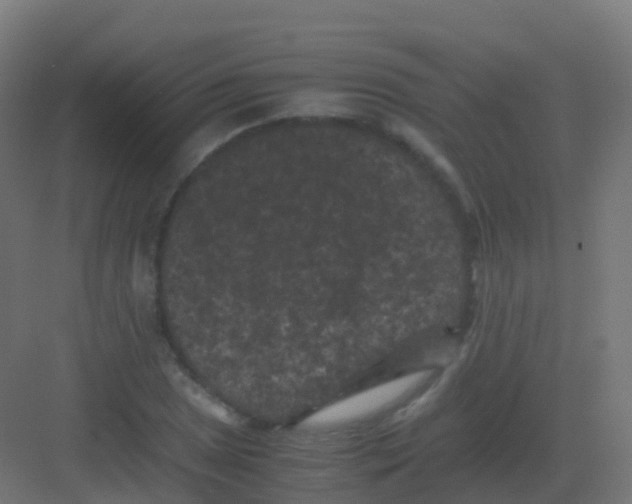 X0000081331025200702082157