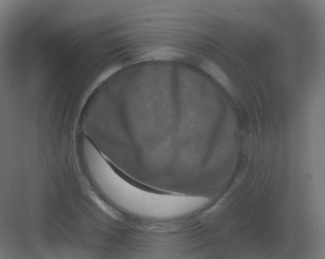 X0000081331026200702082157