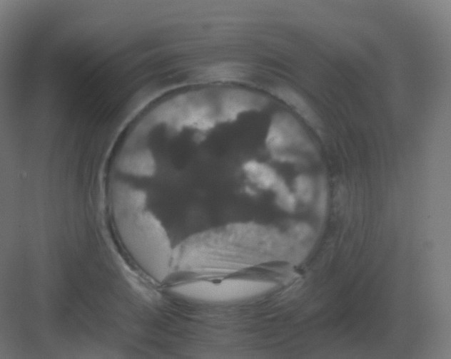 X0000081331031200702082157