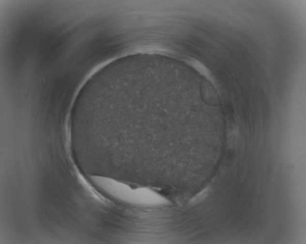 X0000081331032200702082157