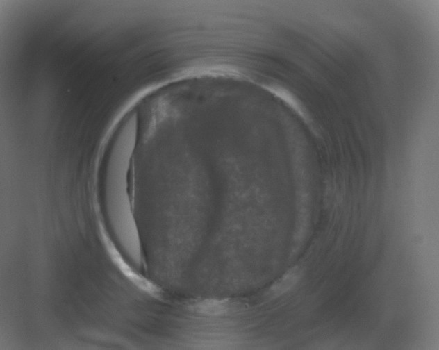 X0000081331038200702082157