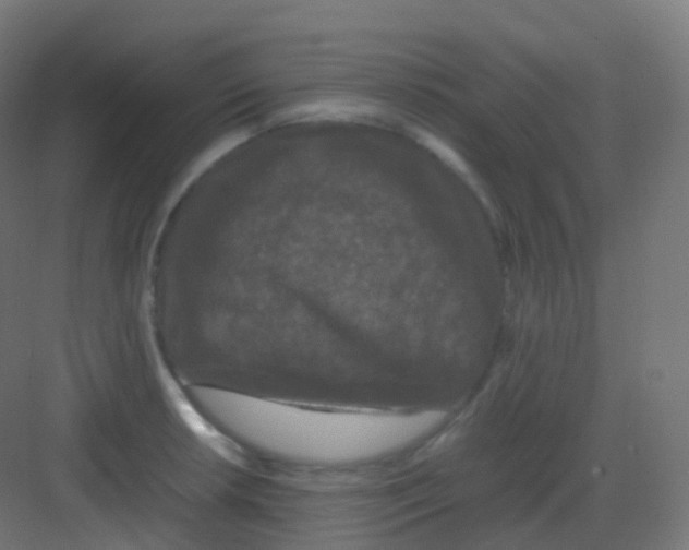 X0000081331042200702082157