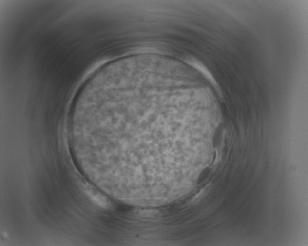 X0000081331043200702082157