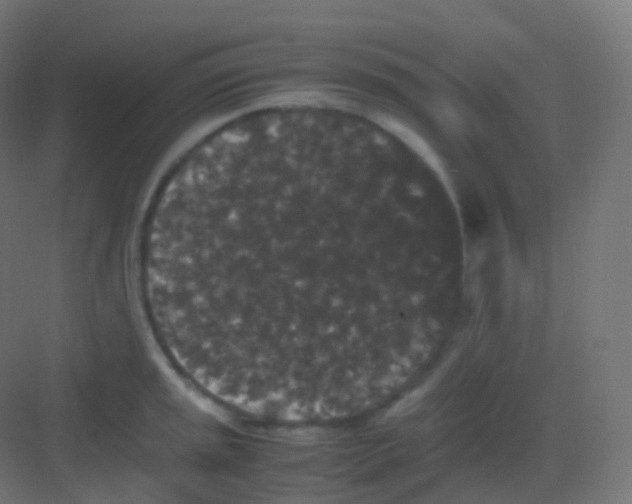 X0000081331045200702082157