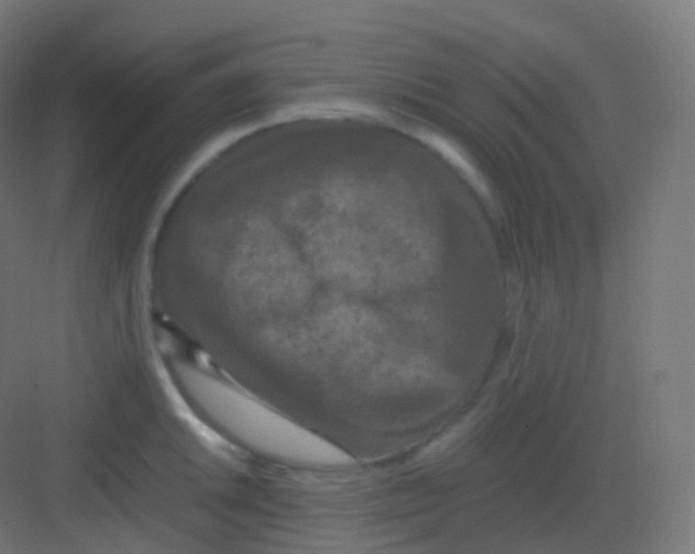 X0000081331046200702082157