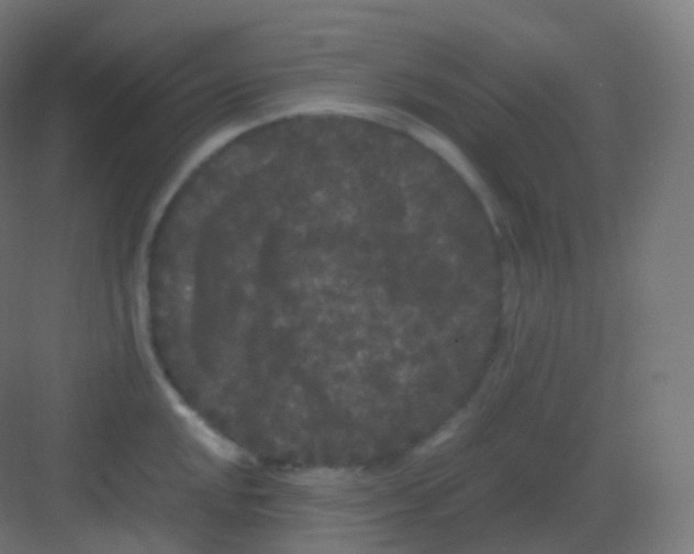 X0000081331048200702082157