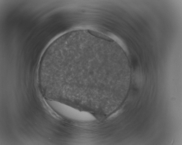 X0000081331052200702082157