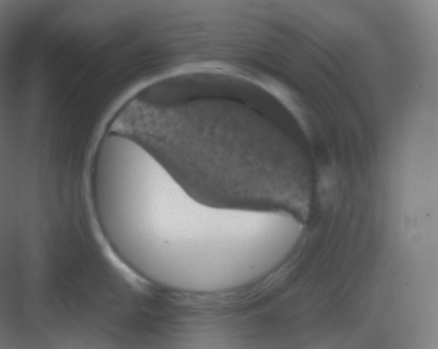 X0000081331054200702082157