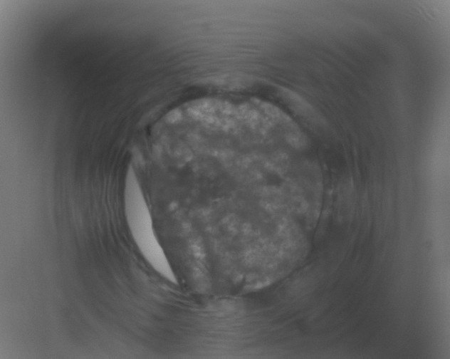 X0000081331058200702082156