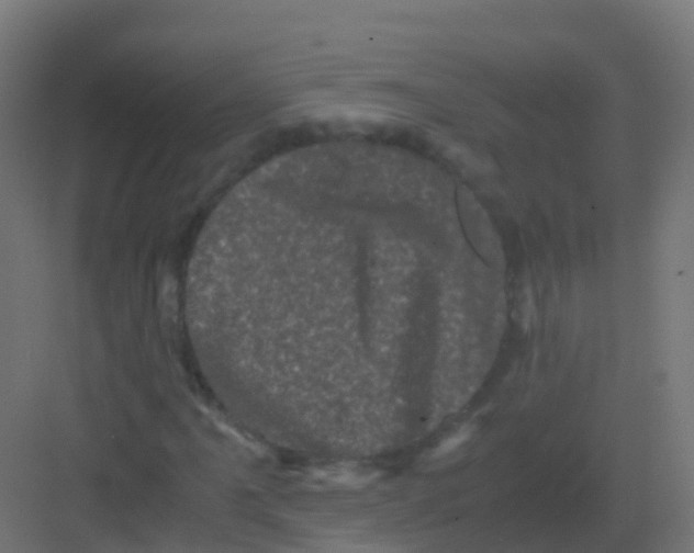 X0000081331061200702082156