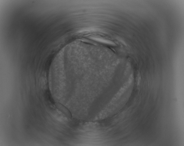 X0000081331062200702082156