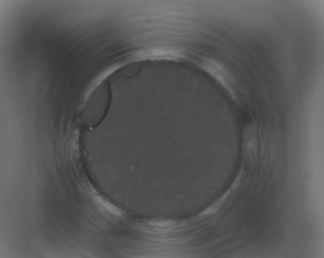 X0000081331066200702082156