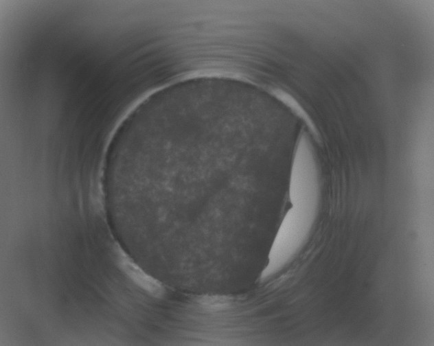 X0000081331068200702082156