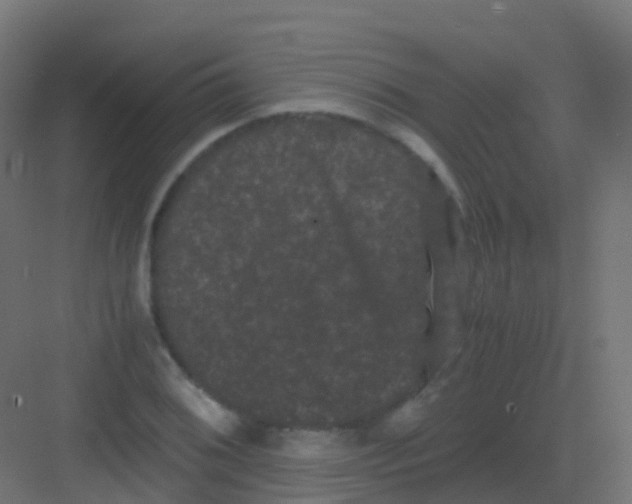 X0000081331076200702082156