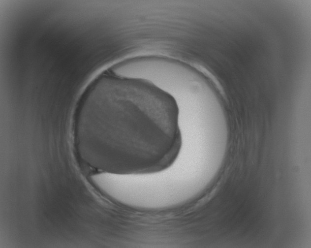 X0000081331077200702082156