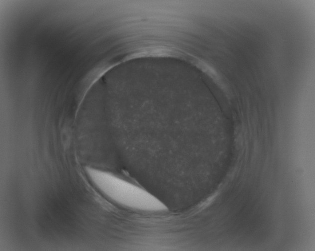 X0000081331081200702082156