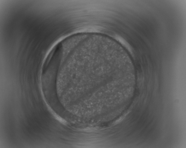 X0000081331085200702082156