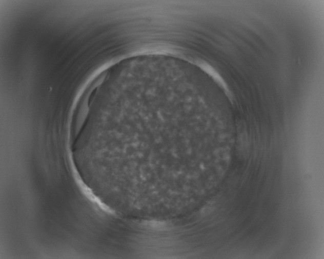 X0000081331088200702082156