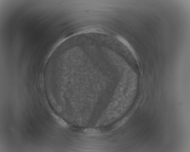 X0000081331089200702082156