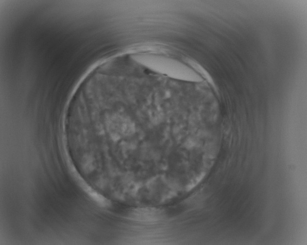 X0000081331091200702082156