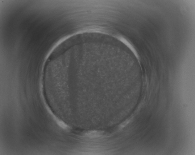 X0000081331093200702082156